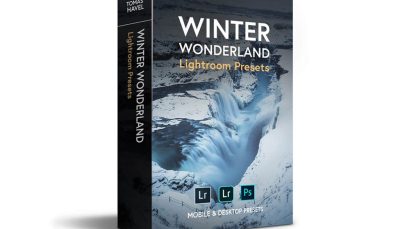 مجموعه پریست لایت روم زمستانی Winter Wonderland